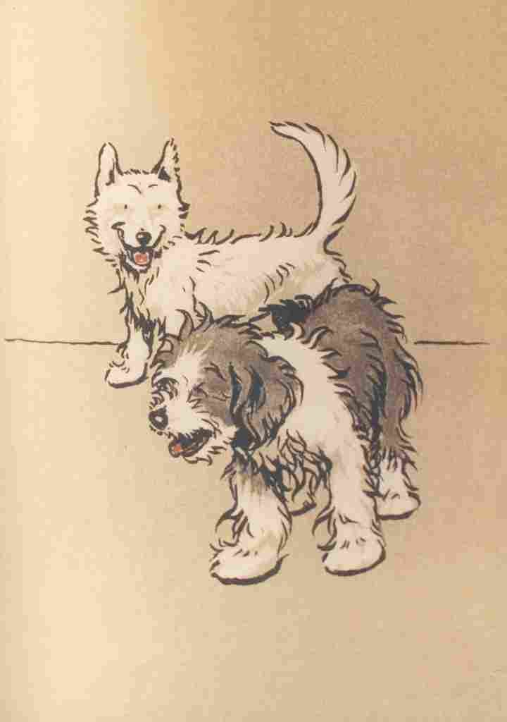 The Bobtail Puppy Book 1914 7 A4 Photo Print