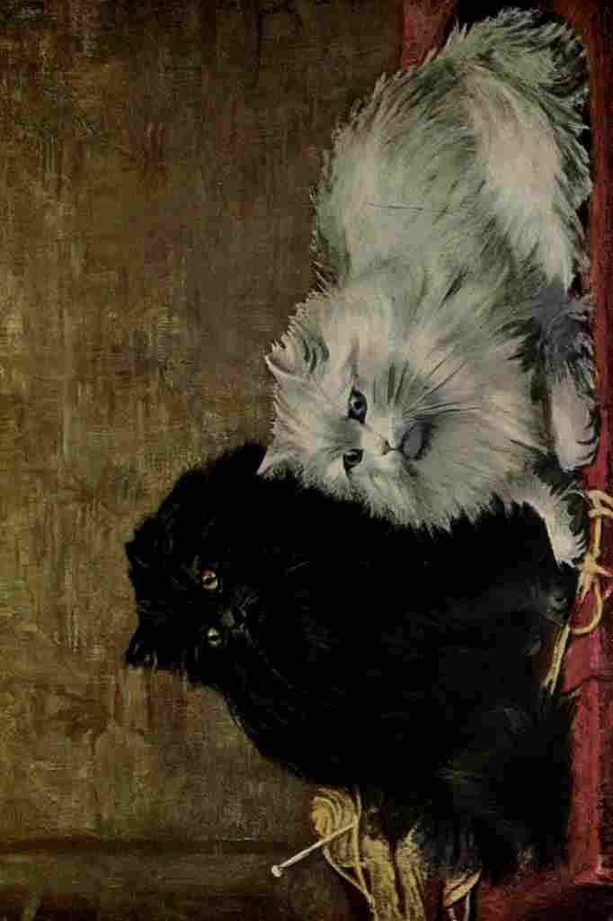 The Book Cat 1903 2 A4 Photo Print