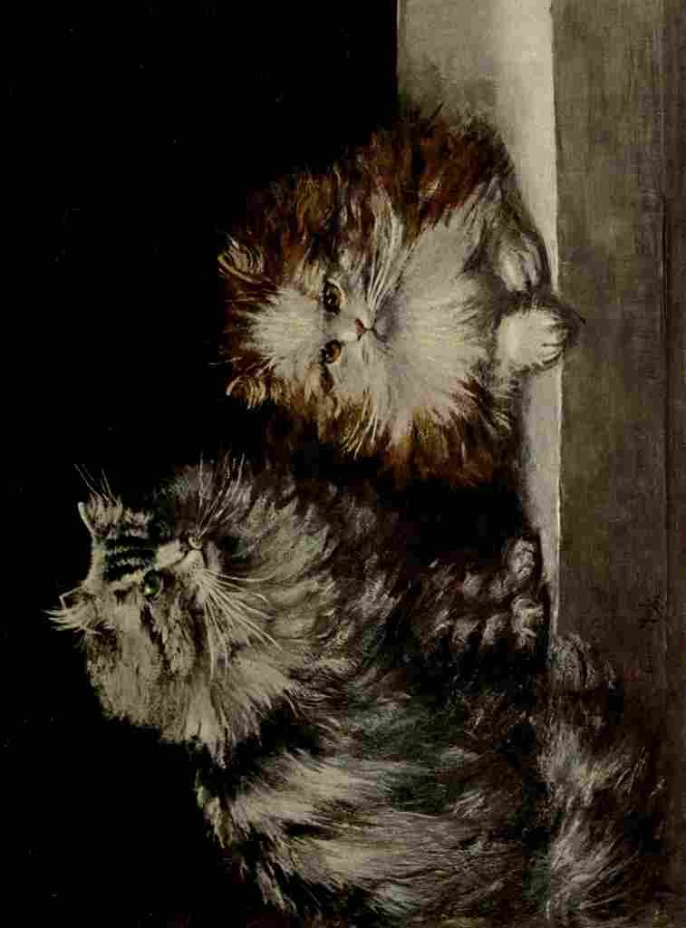 The Book Cat 1903 4 F Marks A4 Photo Print