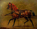 The Book Horse 1880 A state carriage horse A4 Photo Print