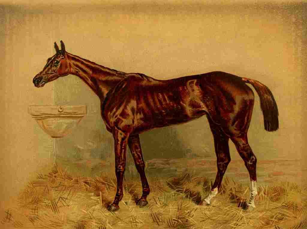 The Book Horse 1880 Steeplechase mare A4 Photo Print