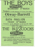 The Boys 1978 Punk Flyer A4 Photo Print