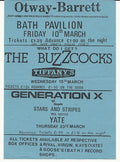 The Buzzcocks 1978 Punk Flyer A4 Photo Print