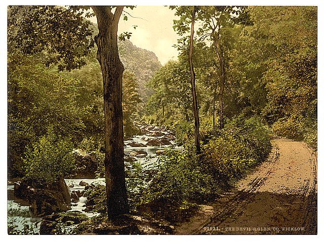 The Devils Glen County Wicklow Vintage A4 Photo Print