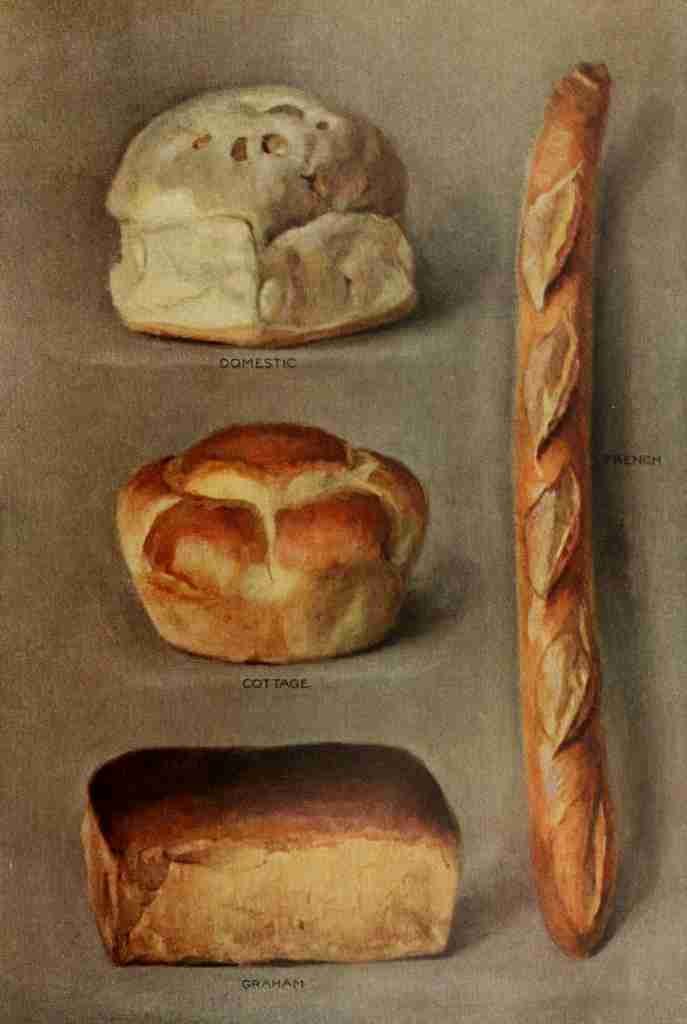 The Grocers Encyclopedia 1911 Bread A4 Photo Print