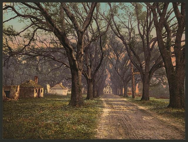 The Hermitage Savannah Vintage A4 Photo Print