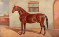 The Horse 1906 Yorkshire coach horse Mischief A4 Photo Print