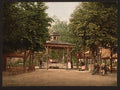 The Lardy Spring Vichy Vintage A4 Photo Print