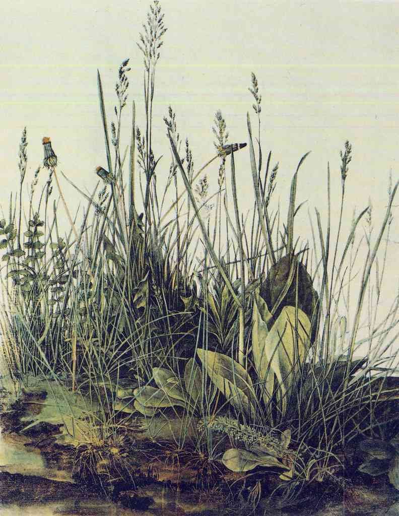The Large Piece Of Grass Durer A4 Photo Print