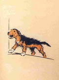 The Mongrel Puppy Book 1912 1 A4 Photo Print