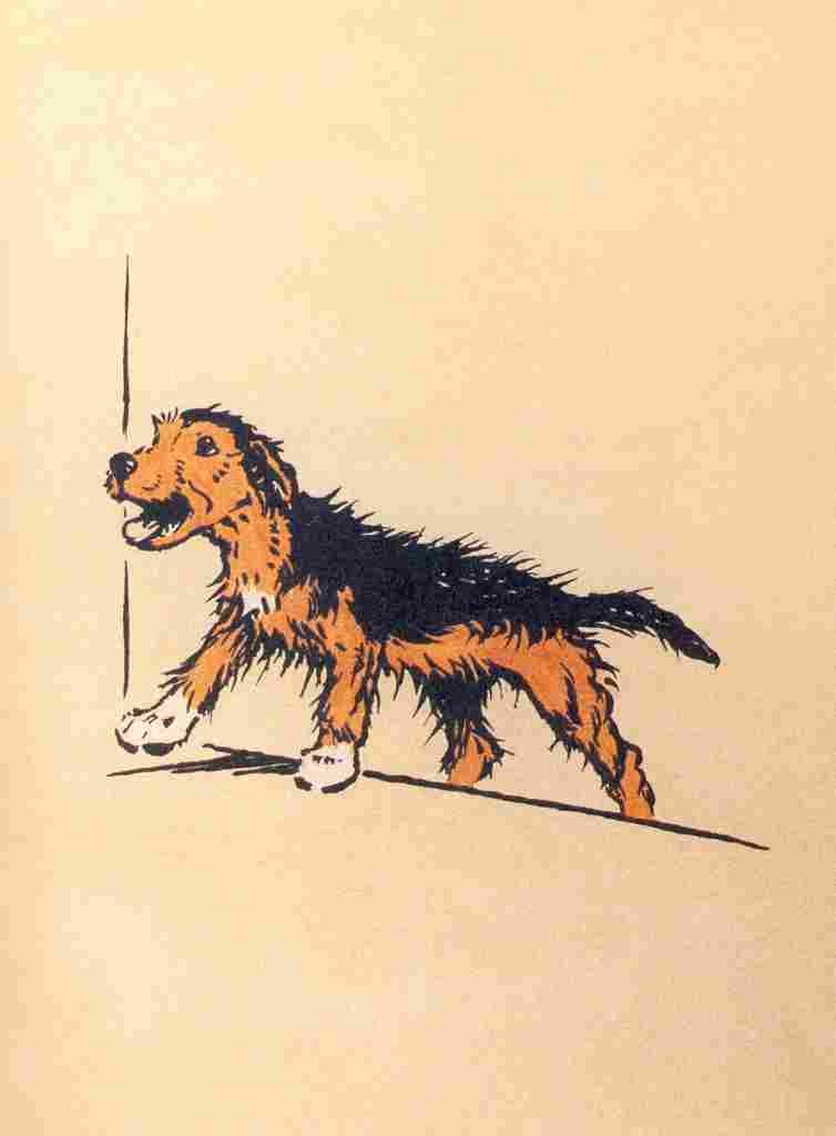 The Mongrel Puppy Book 1912 1 A4 Photo Print