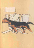 The Mongrel Puppy Book 1912 10 A4 Photo Print