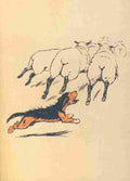 The Mongrel Puppy Book 1912 7 A4 Photo Print
