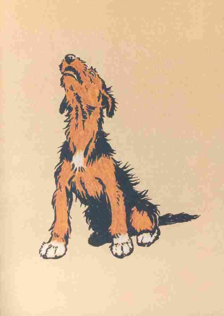 The Mongrel Puppy Book 1912 9 A4 Photo Print