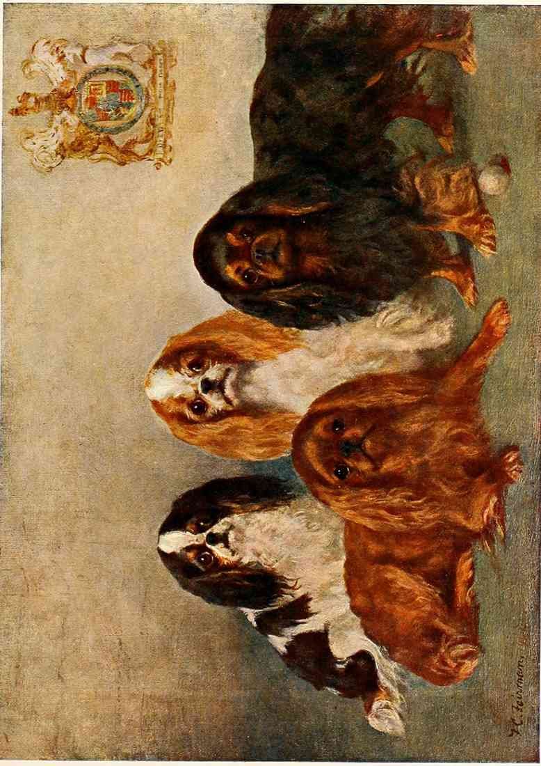 The New Book of the Dog 1911 Frances C Fairman 1836 1923 King Charles Spaniels A4 Photo Print