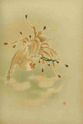 The Phoenix or Ho Wo bird Mythological Japan 1902 A4 Photo Print