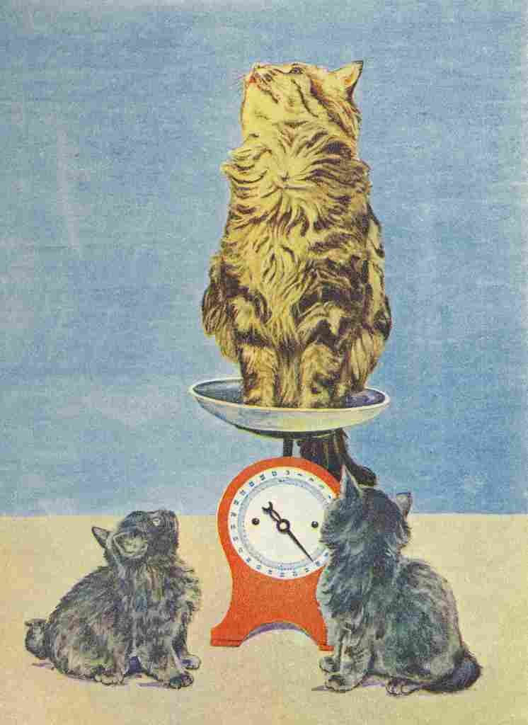 The Picture Book of Kittens 1920s 1 A4 Photo Print
