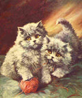 The Picture Book of Kittens 1920s 17 A4 Photo Print