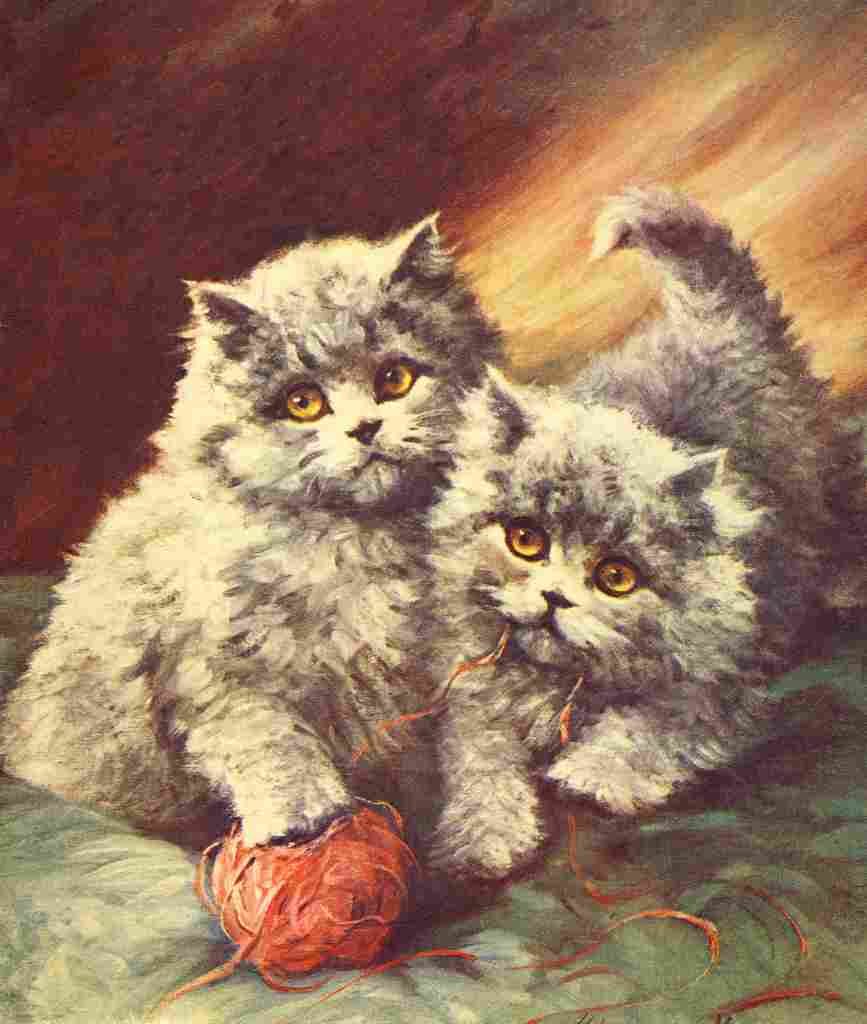 The Picture Book of Kittens 1920s 17 A4 Photo Print