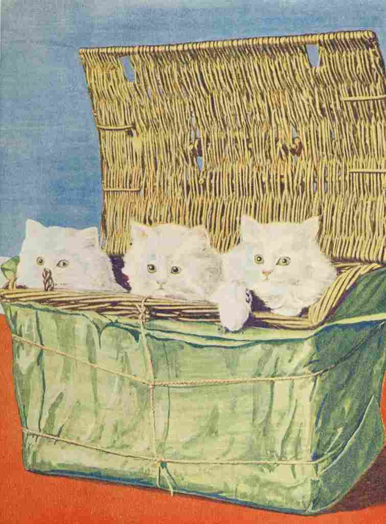 The Picture Book of Kittens 1920s 3 A4 Photo Print