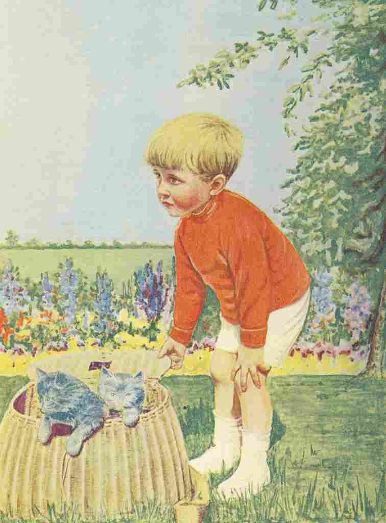 The Picture Book of Kittens 1920s 4 A4 Photo Print