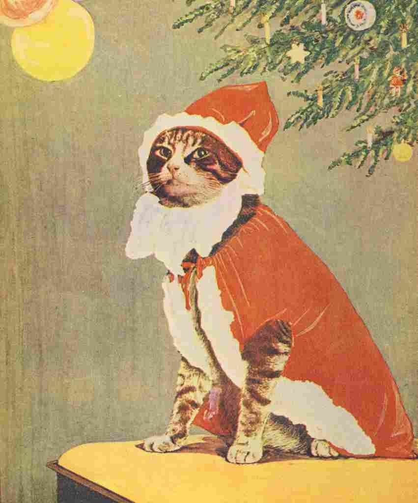 The Picture Book of Kittens 1920s 8 A4 Photo Print