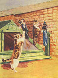The Picture Book of Kittens 1920s Sock kittens A4 Photo Print