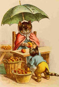 The Pillar Box 1905 Anthropomorphic Cats Apples A4 Photo Print