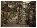 The Plantation Exmouth Vintage A4 Photo Print