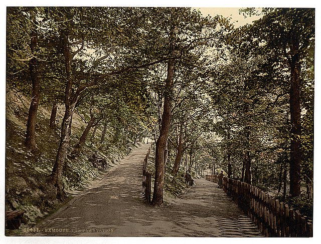 The Plantation Exmouth Vintage A4 Photo Print