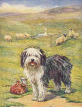 The Prize Annual 1930 Old English Sheepdog A4 Photo Print