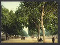 The Promenade Montpelier Vintage A4 Photo Print