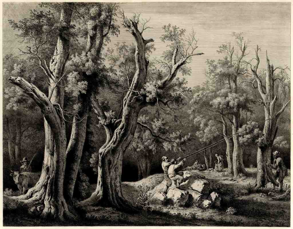 The Vast Forest 1798 Vintage A4 Photo Print