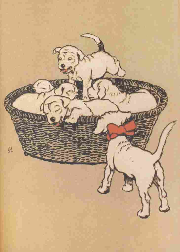 The White Puppy 1909 3 A4 Photo Print