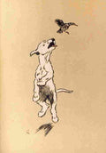 The White Puppy 1909 5 A4 Photo Print