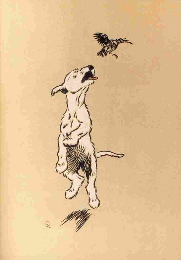 The White Puppy 1909 5 A4 Photo Print