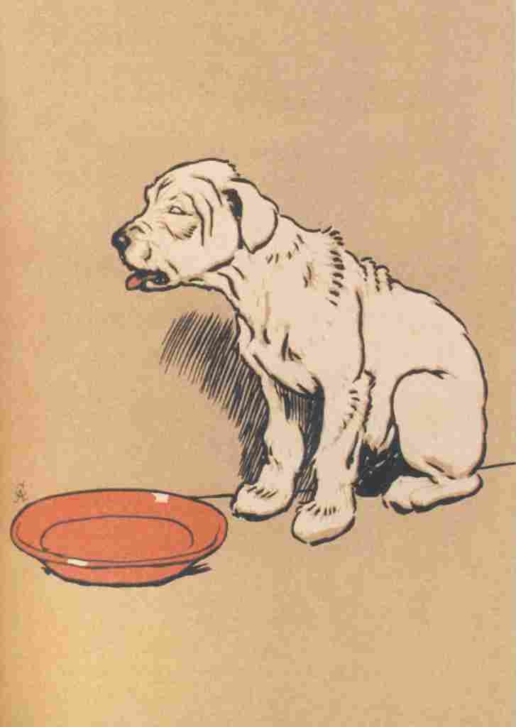 The White Puppy 1909 8 A4 Photo Print