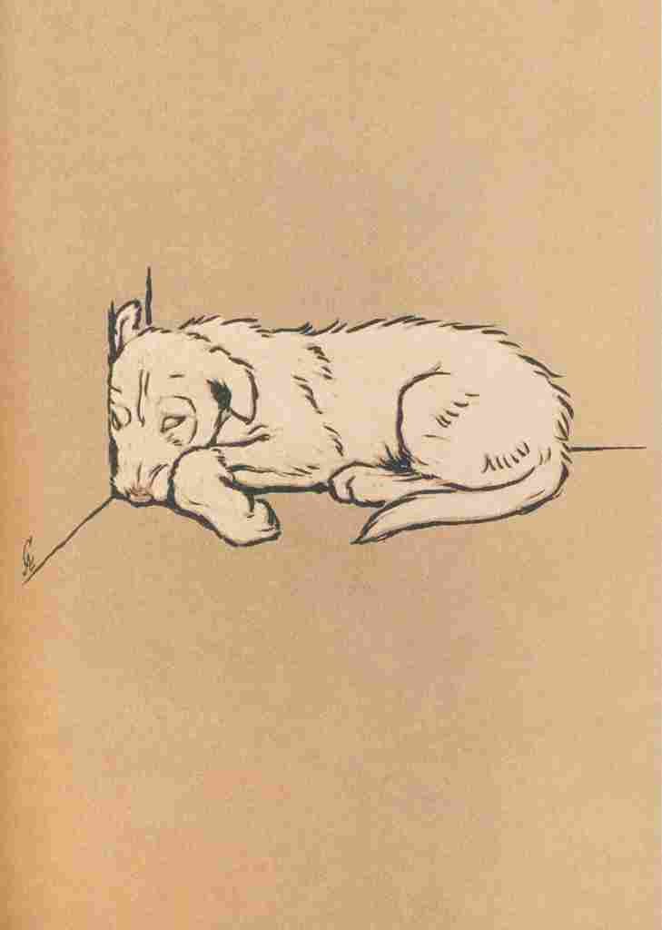 The White Puppy 1909 9 A4 Photo Print