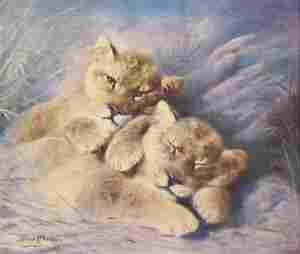 The Wonder Book of Animals Lion Cubs A4 Photo Print
