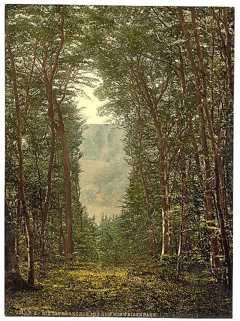 The Zauberhole and Schweizerhaus the Rhine Vintage A4 Photo Print