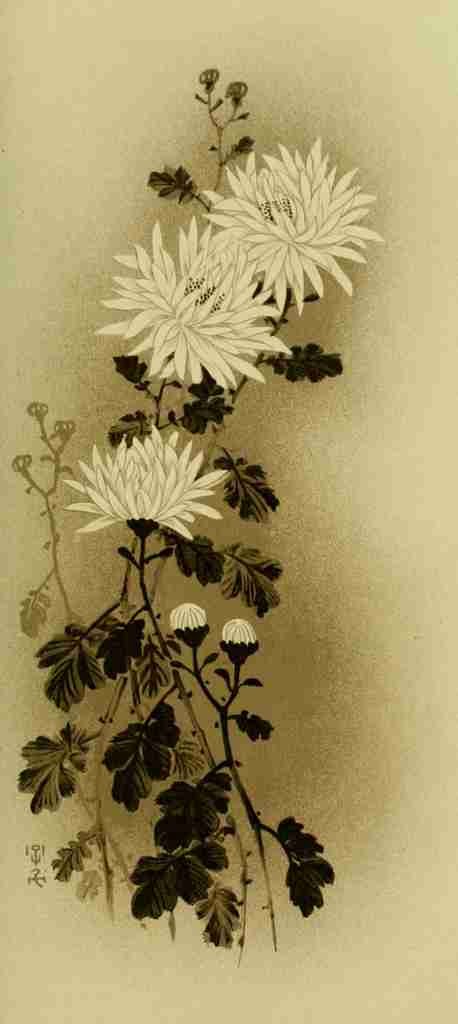 The chrysanthemum Mythological Japan 1902 A4 Photo Print