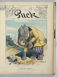 The clumsy elephant PUCK A4 Photo Print