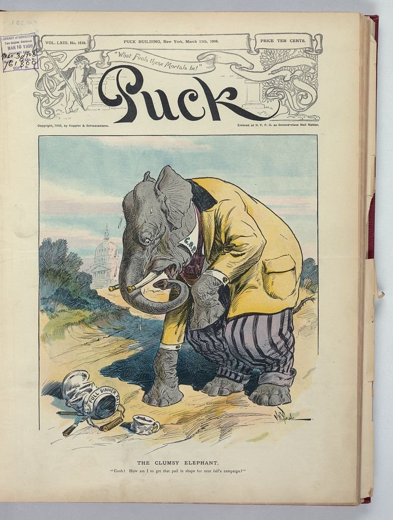 The clumsy elephant PUCK A4 Photo Print