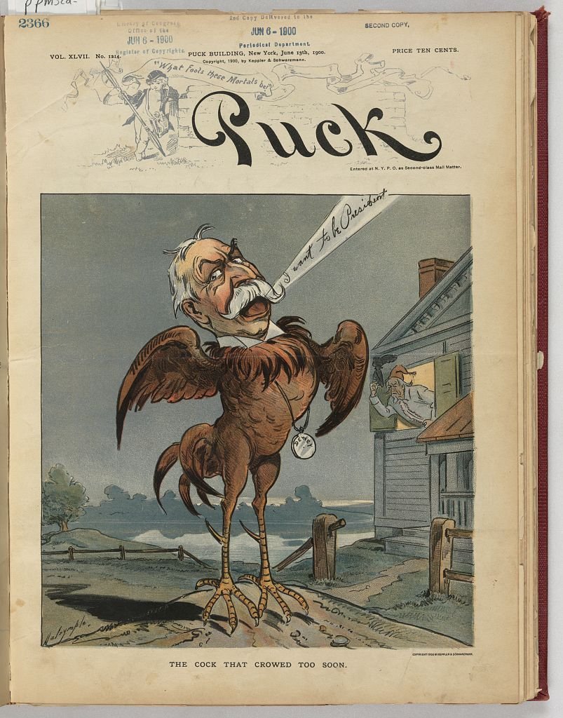 The cock that crowed too soon PUCK A4 Photo Print