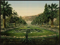 The gardens Monte Carlo Vintage A4 Photo Print