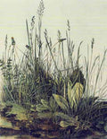 The large piece of grass by Durer A4 Photo Print