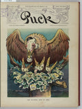 The national bird of prey PUCK A4 Photo Print
