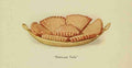 The something different dish 1915 Petticoat tails shortbread A4 Photo Print