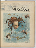 The spider and the three silly flies PUCK A4 Photo Print