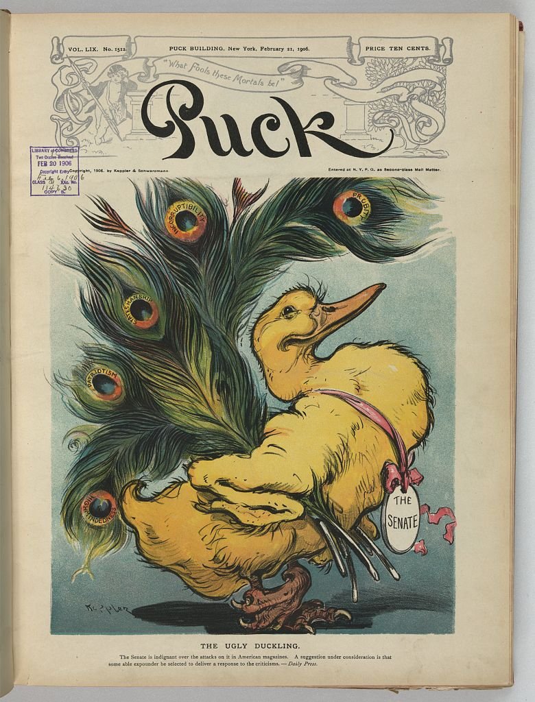 The ugly duckling PUCK A4 Photo Print